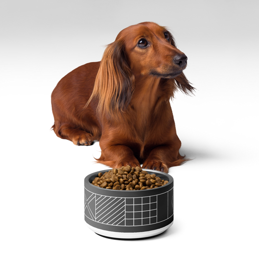 Navy Beach Black 18oz Pet Bowl