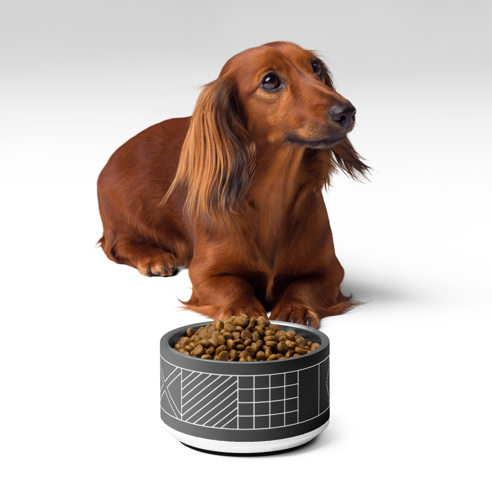 Navy Beach Black 18oz Pet Bowl